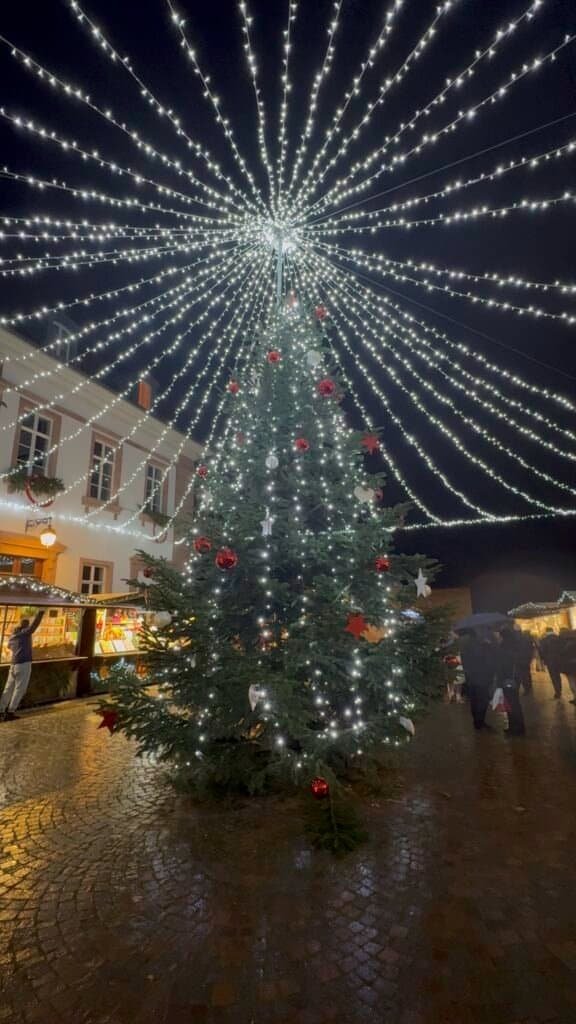 Christmas_tree_riquewihr_france